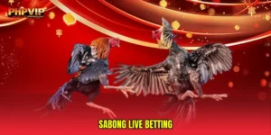 Sabong live betting
