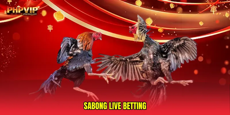 Sabong live betting